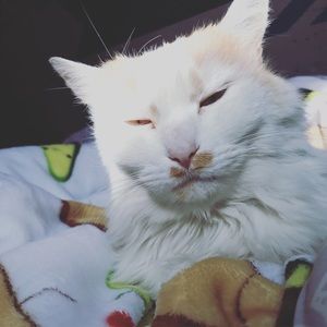 Meet your Posher, Chloe